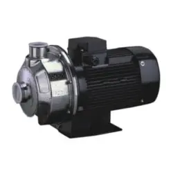 máy bơm trục ngang đầu inox CNP MS