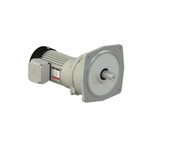 motor-giam-toc-liming-SVLS