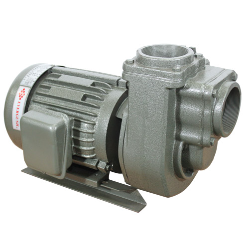 bơm ly tâm evergush SQD