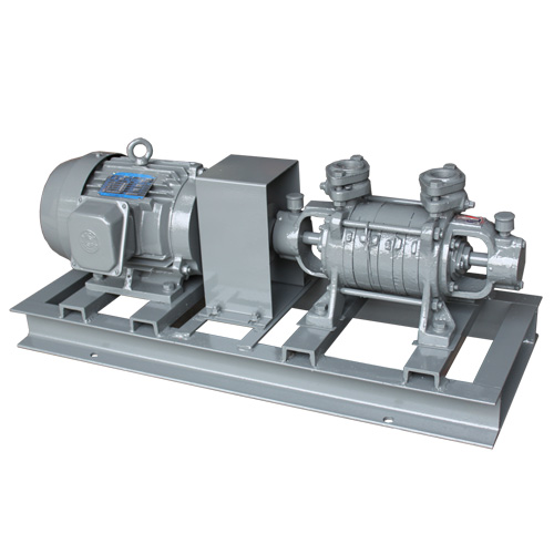 Bơm trục ngang Evergush WZ