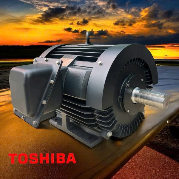 motor điện toshiba IE3 chân đế 6 cực