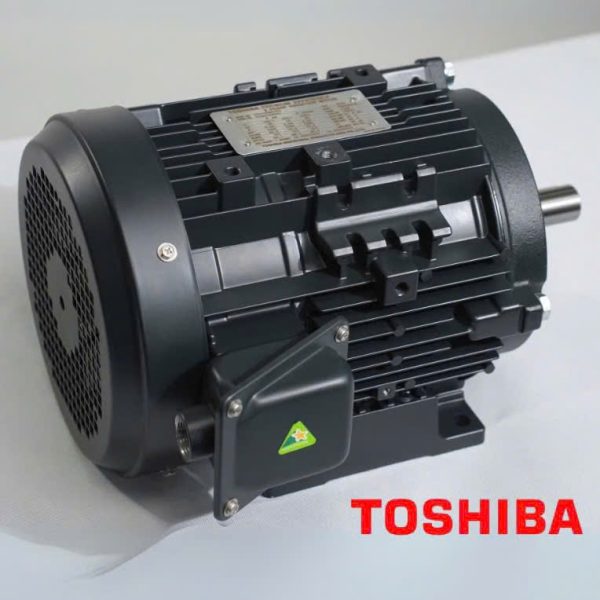 motor điện toshiba IE3 chân đế 2 cực